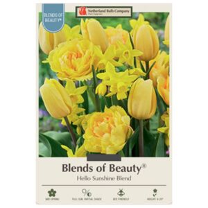 Tulip - Hello Sunshine - 15 Bulb Pack