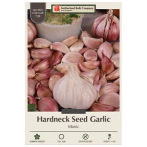Garlic - Music - 2 Bulb Pack