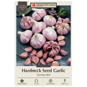 Garlic - German Red - 2 Bulb Pack