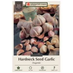 Garlic - Duganski - 2 Bulb Pack