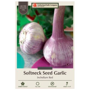Garlic - Inchelium Red Seed - 2 Bulb Pack
