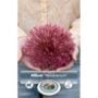 Allium - Nevskianum - 2 Bulb Pack