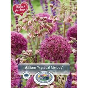 ium - Mystical Melody Mix - 12 Bulb Pack