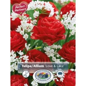 Love & Lace Blend – 20 Bulb Pack