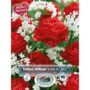 Love & Lace Blend – 20 Bulb Pack