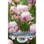 Tulip Double Late - Double Surprise - 5 Bulb Pack