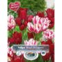 Tulip - Magic Bouquets - 8 Bulb Pack