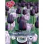 Tulip Blend - Moonlight Duet - 8 Bulb Pack