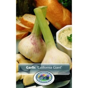 Garlic - California Giant - 5 Bulb Pack