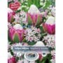 Raspberry Sundae Blend - 12 Bulb Pack