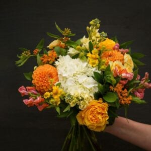 Tangerine Dream