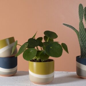 Colorway Pot – Yellow – 4″