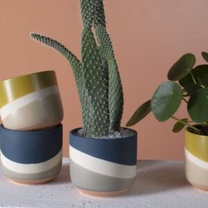 Colorway Pot – Blue – 4″