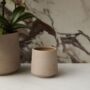 Luciana Pot – Light Pink – 4″