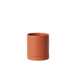 Romey Pot with Saucer - Terra Cotta - 5"