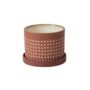 Salamanca Pot with Saucer - Brown - 7"