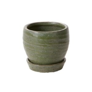 Bradford Pot with Saucer - Green - 3.5"