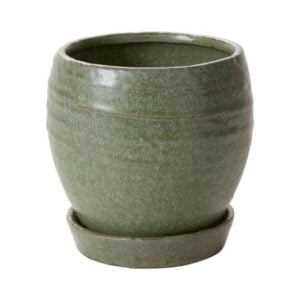 Bradford Pot with Saucer - Green - 5.5"