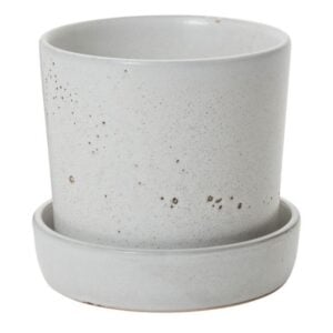 Waston Pot with Saucer - Off White - 6.75"