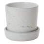 Waston Pot with Saucer - Off White - 6.75"