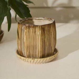 Carved Pot with Saucer - Brown - 6.5"