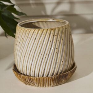 Carved Pot with Saucer - Tan - 8.75"