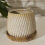 Carved Pot with Saucer - Tan - 8.75"