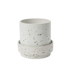 Claxton Pot with Saucer - White - 8"