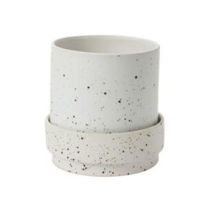 Claxton Pot with Saucer - White - 10"