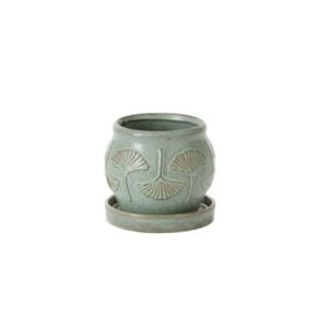 Biloba Pot with Saucer - Green - 5.75"