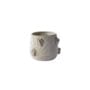 House Spider Pot - White - 6"