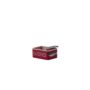 Sardine Tin Planter – 5.25″ x 3.5″