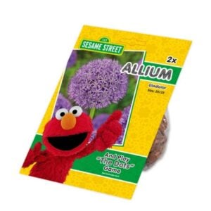 Elmo Allium - Gladiator - 1 Bulb Pack