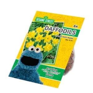 Cookie Monster Narcissus - Dutch Master - 5 Bulb Pack