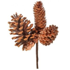 Pinecones Pick - Natural Brown - 11"