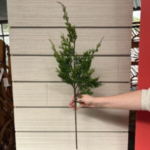 Cedar Spray - Green - 28"
