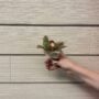 product-277649-1790288777-REG02-0001508