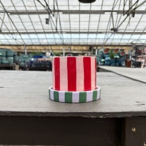 Joyelle Pot with Saucer - Red/Pink - 5.75"