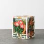 Indoor Grow Kit – Amaryllis Minerva