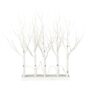 LED Twig Grove - White - 30"