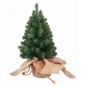 Canadian Burlap Tree – 12″