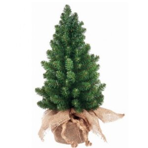 Canadian Burlap Tree – 20″