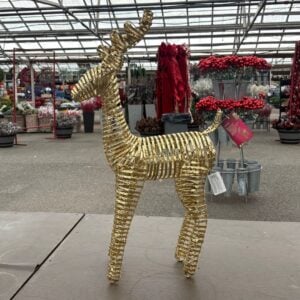 LED Reindeer Pet - Warm White - 31.5"