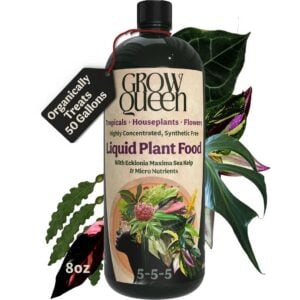 House Plant Food - Grow Queen - 5-5-5 - 8 oz