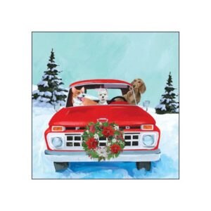Joyride Beverage Napkins - Paperproducts Design - 5" x 5"