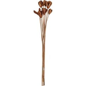 Benzo Fruit Slice Bunch - 18"