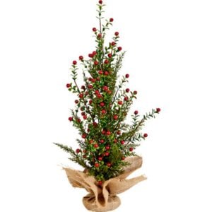 Boxwood Berry Tree - 24"