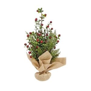 Boxwood & Berry Burlap Tree - 16"