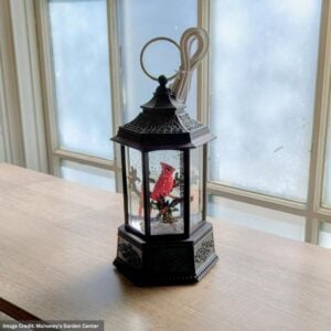 LED Cardinal Lantern - Battery OP - 10.25"