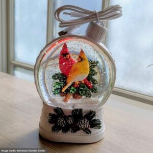 Cardinal Pair Waterglobe - 6.5"
